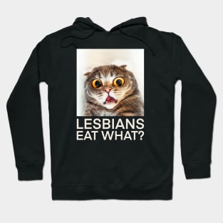 Lesbians Eat What? Hoodie
